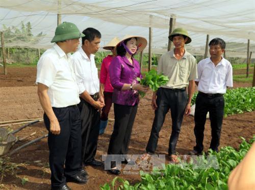 Hà Nội đẩy mạnh đầu tư vào xây dựng nông thôn mới