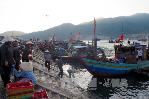 Cảng cá Cửa Sót, xã Thạch Kim, huyện Lộc Hà (Hà Tĩnh). Ảnh: Công Tường - TTXVN