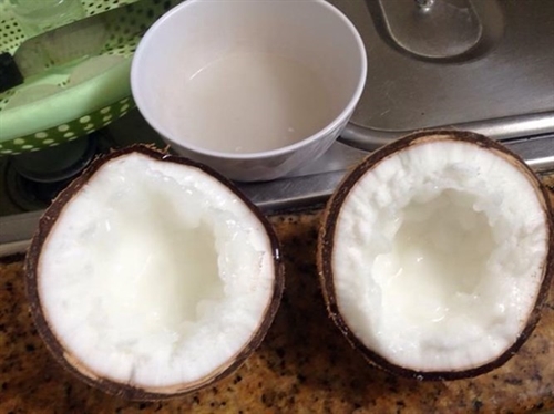Đặc sản dừa sáp Trà Vinh